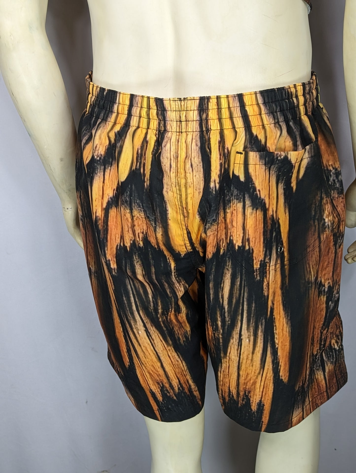 Avian Ascention Swim Trunks