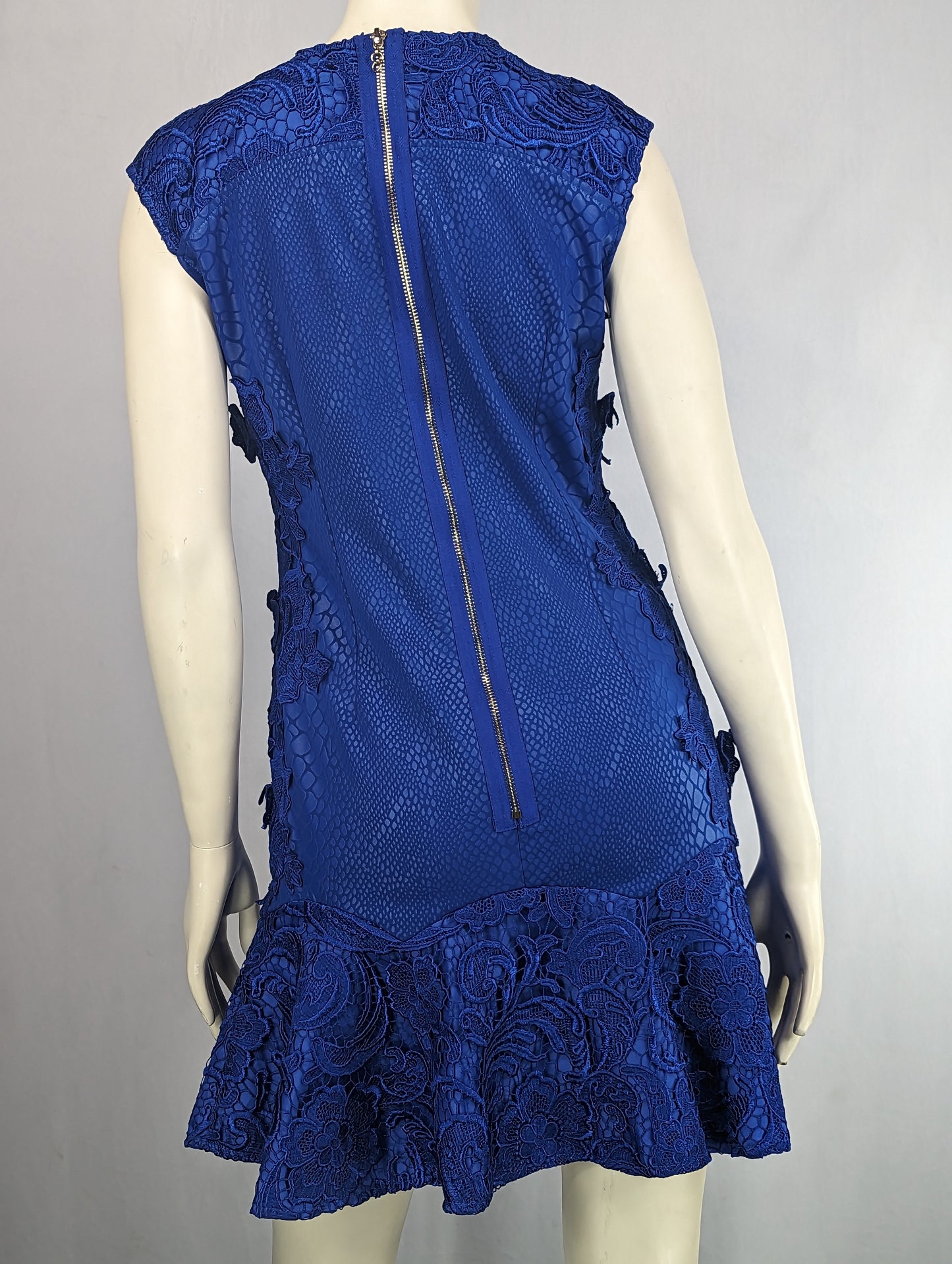 Blue Zipped up Dress