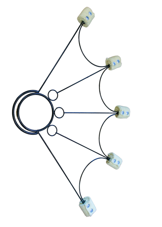 Spider Fire Fans - 5 point set